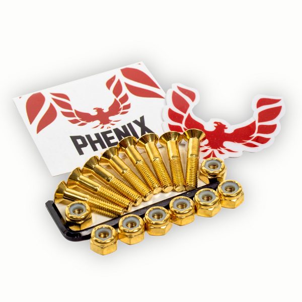TORNILLOS PHENIX 1" ALLEN
